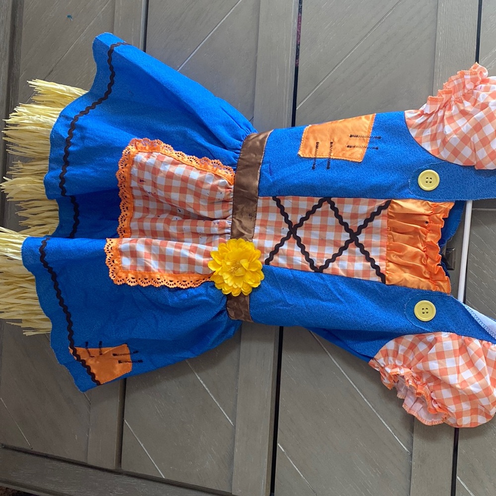 Halloween costume